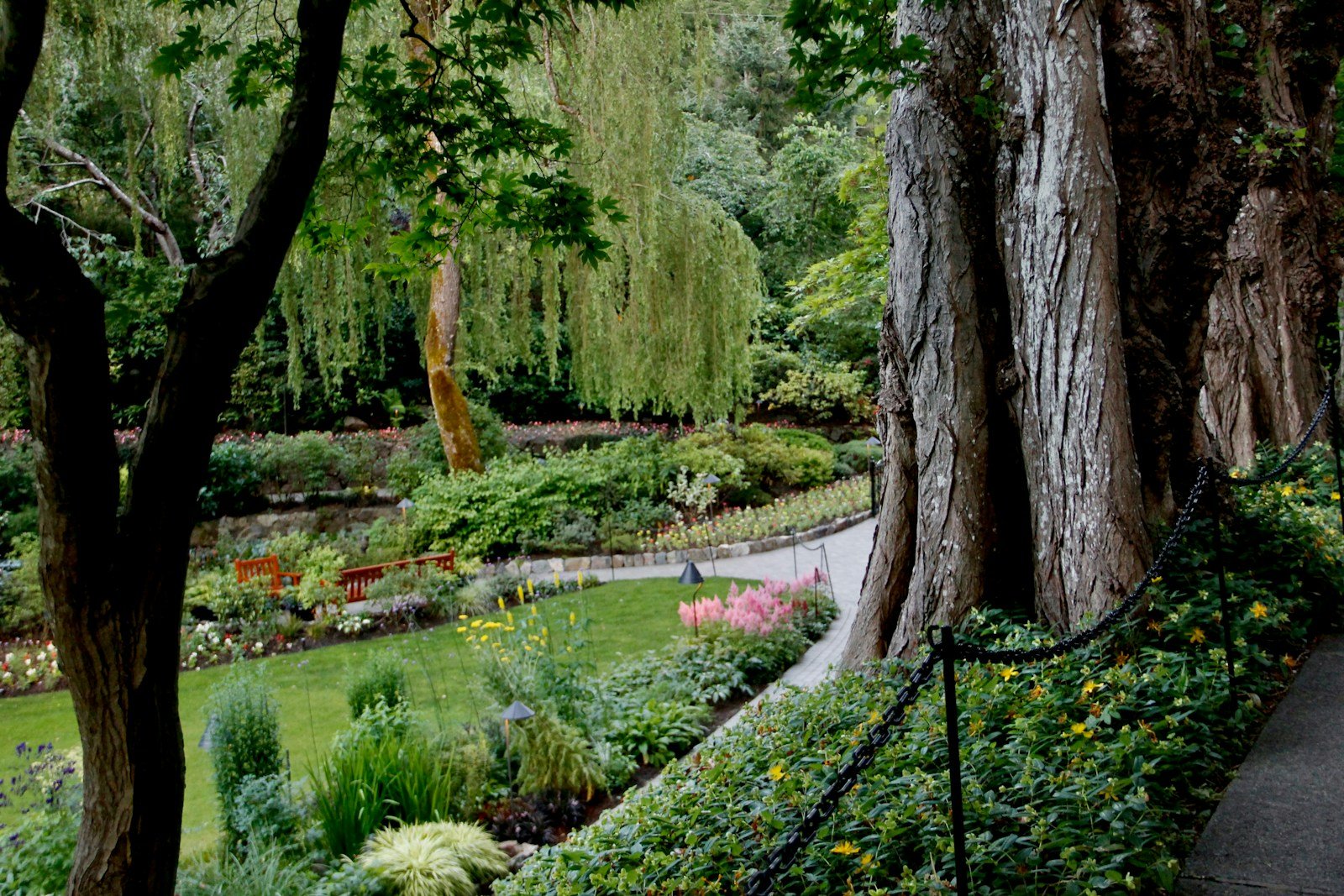 Gepflegter Garten mit üppiger Bepflanzung und einem Gartenweg